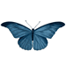 __ mariposa