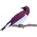 __ pájaro