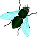 __ mosca