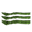 asparagus-2.gif