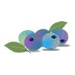 blueberries.gif