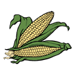 corn.gif