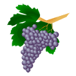 grapes.gif