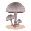 mushrooms-2.gif